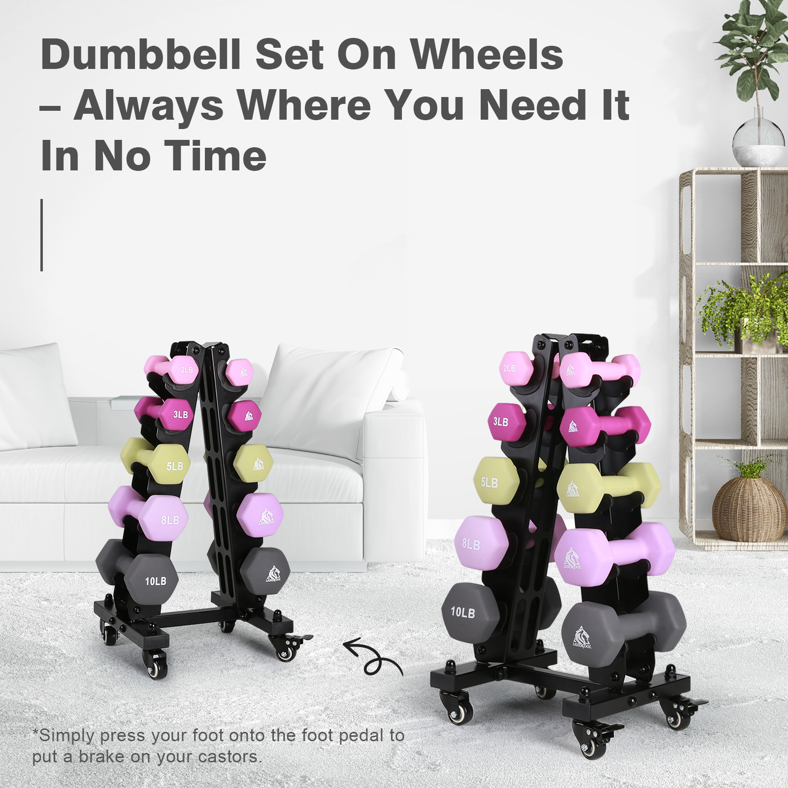 Neoprene Dumbbell Set with Rack LIONSCOOL