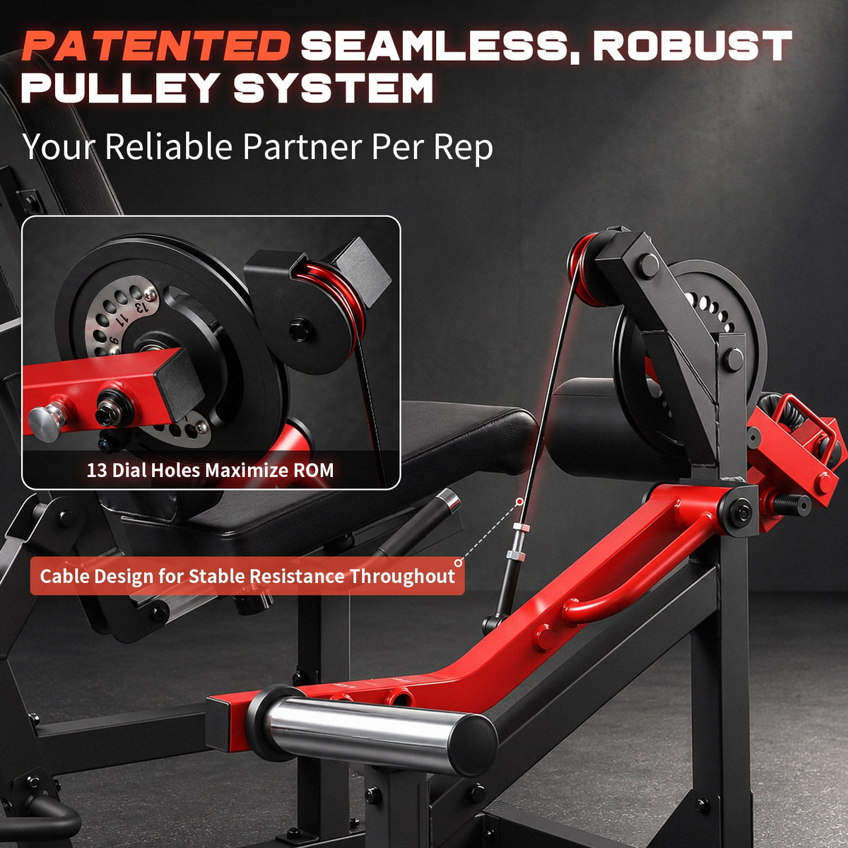 LIONSCOOL KAIROS Leg Extension & Curl Machine