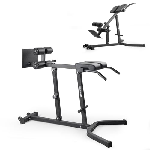 LIONSCOOL Heavy-duty Adjustable Roman Chair (Back Extension Bench) LIONSCOOL