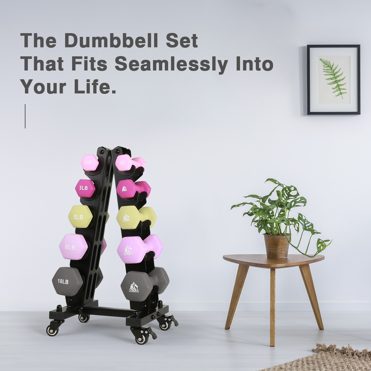 Neoprene Dumbbell Set with Rack LIONSCOOL