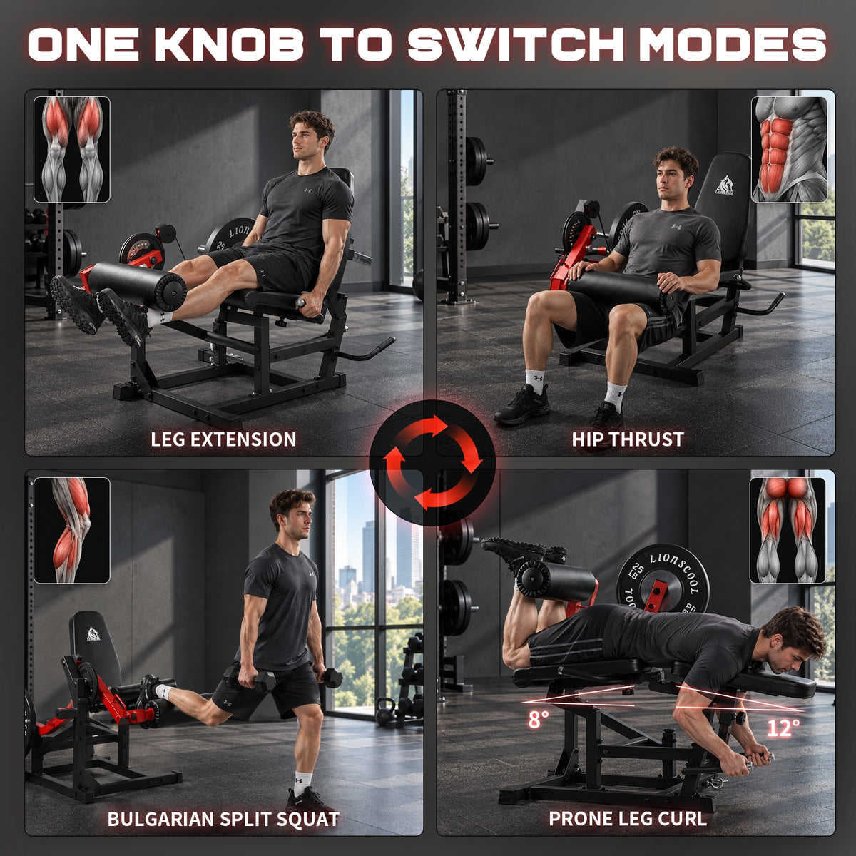 LIONSCOOL KAIROS Leg Extension & Curl Machine